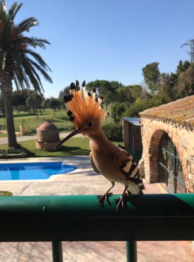 Masia Ca La Caputxeta Casa rural