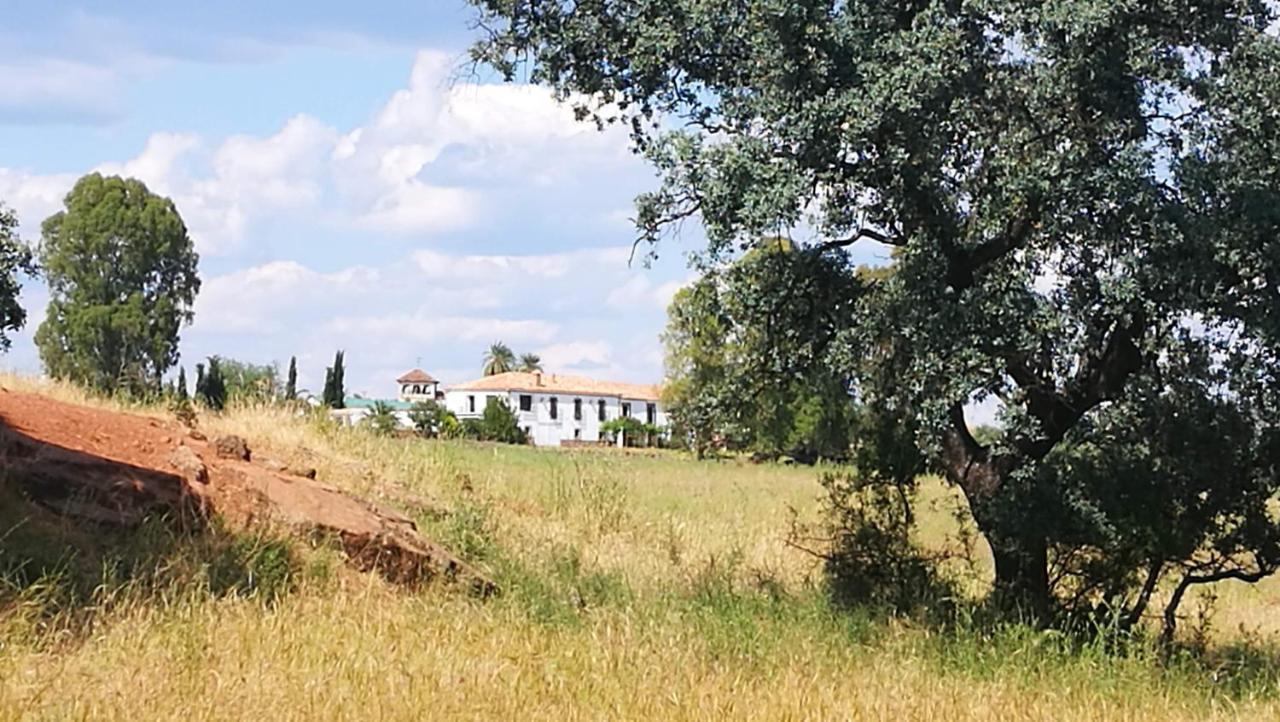 El Vizconde Naturaleza Con Tus Hijos