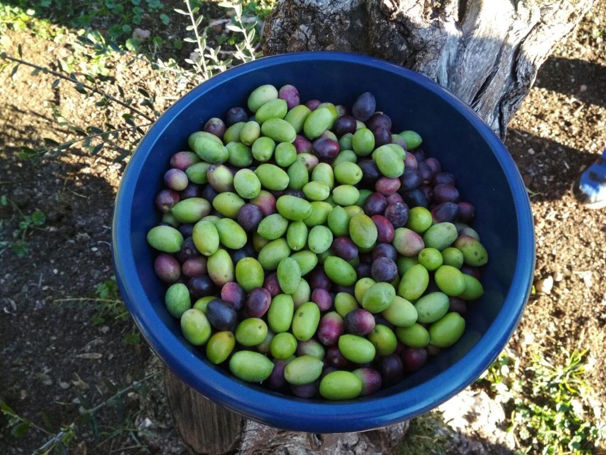El Vizconde Naturaleza Con Tus Hijos
