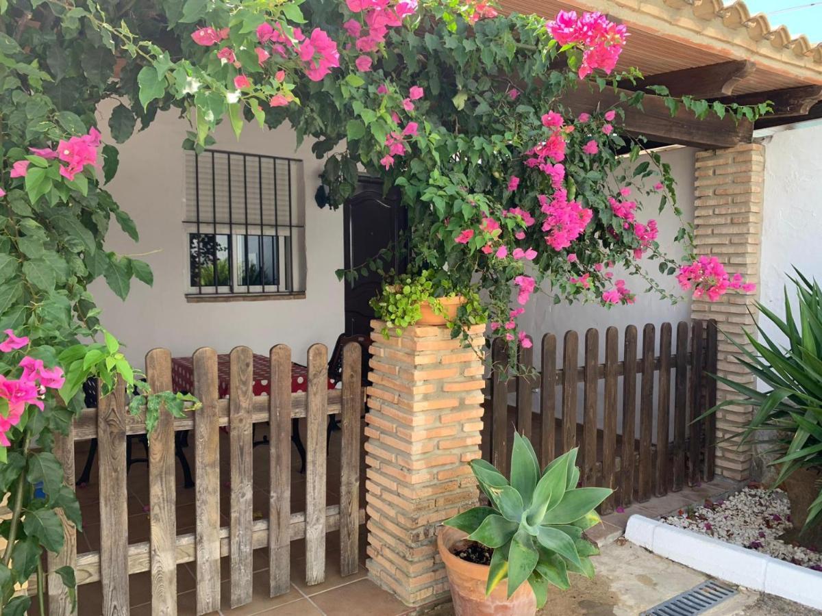 El Mayorazgo Apartment *