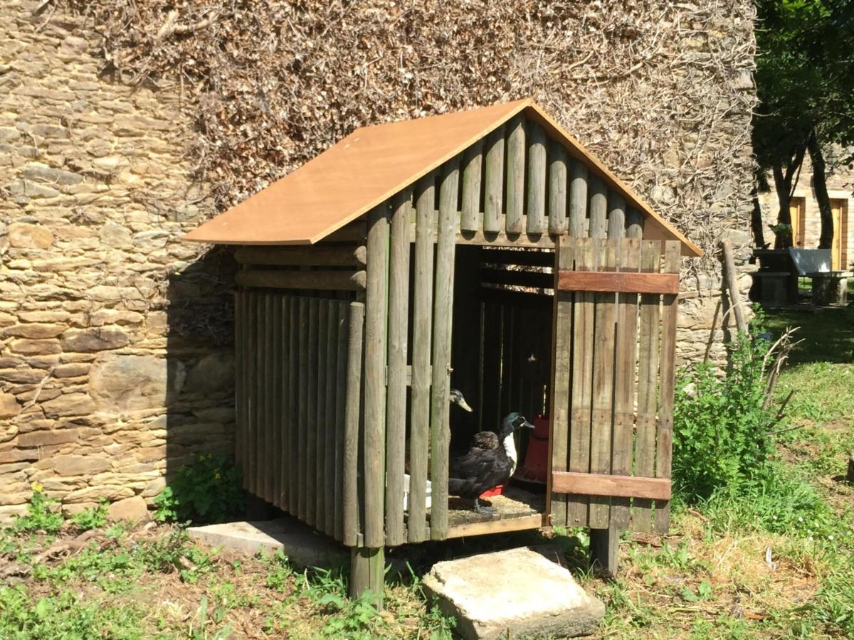 Casa Ferreiro - Campo Da Cruz - Lugo