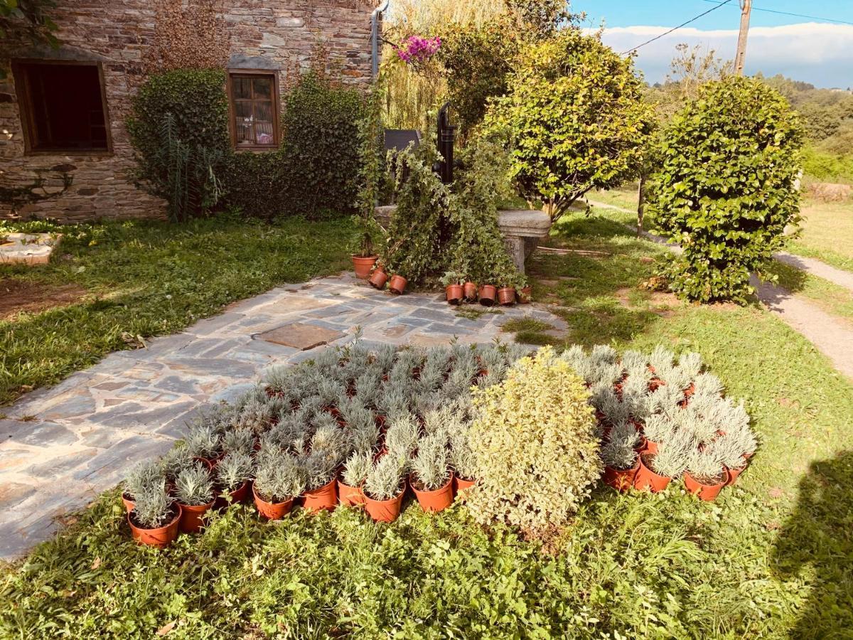 Casa Ferreiro - Campo Da Cruz - Lugo * Baltar (Lugo)