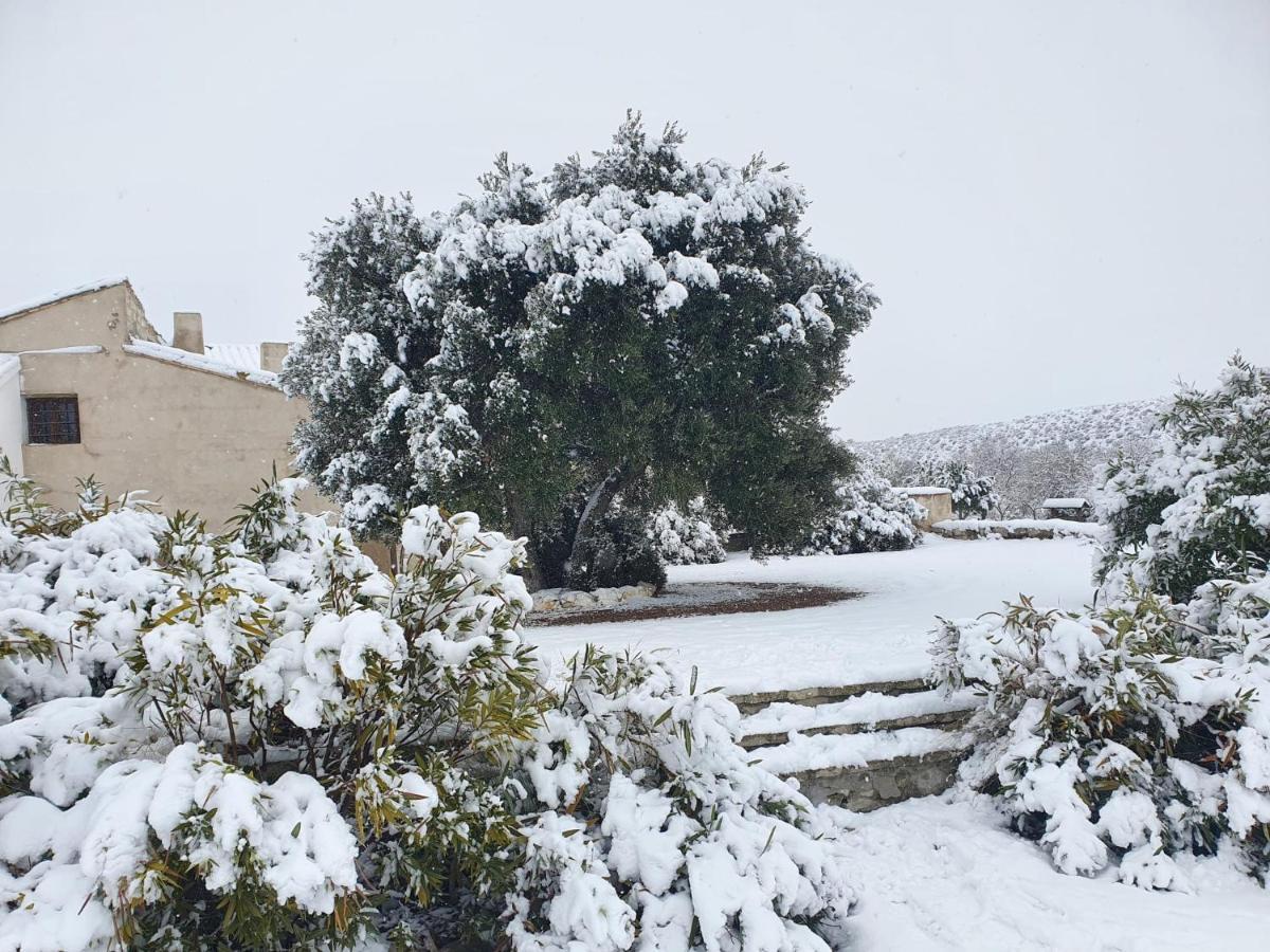 Apartamento Amanece Monegrillo