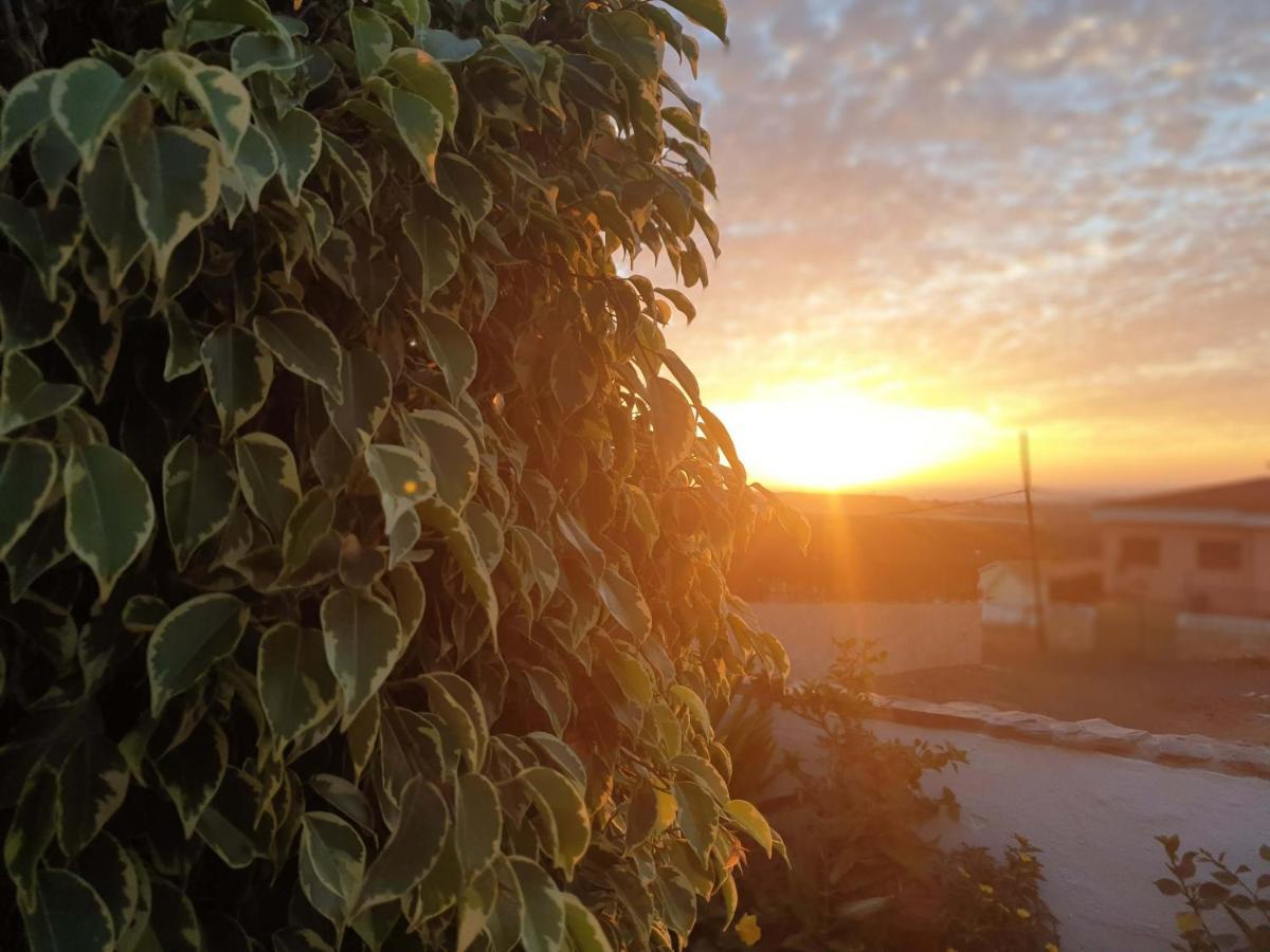 Apartamento Finca Luise