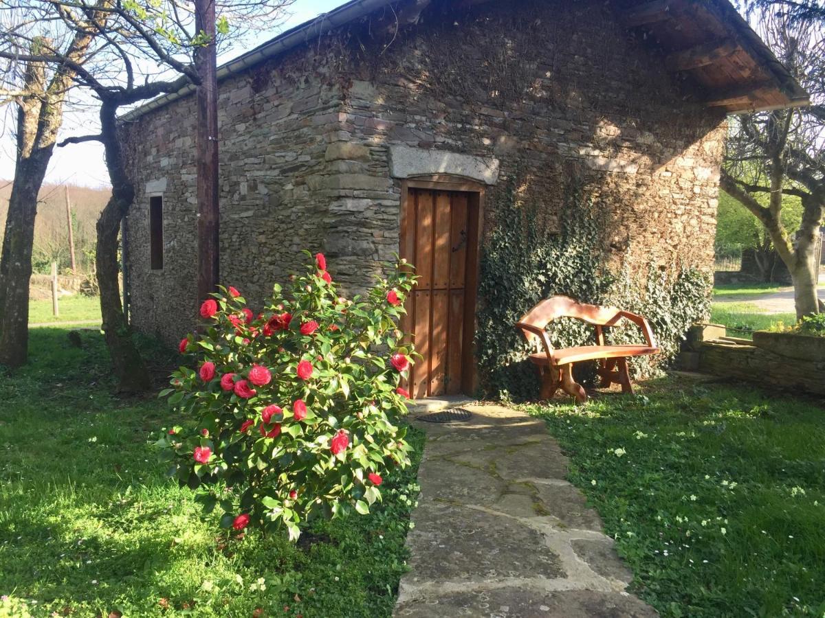 Casa Ferreiro - Campo Da Cruz - Lugo Bed and breakfast Baltar (Lugo)