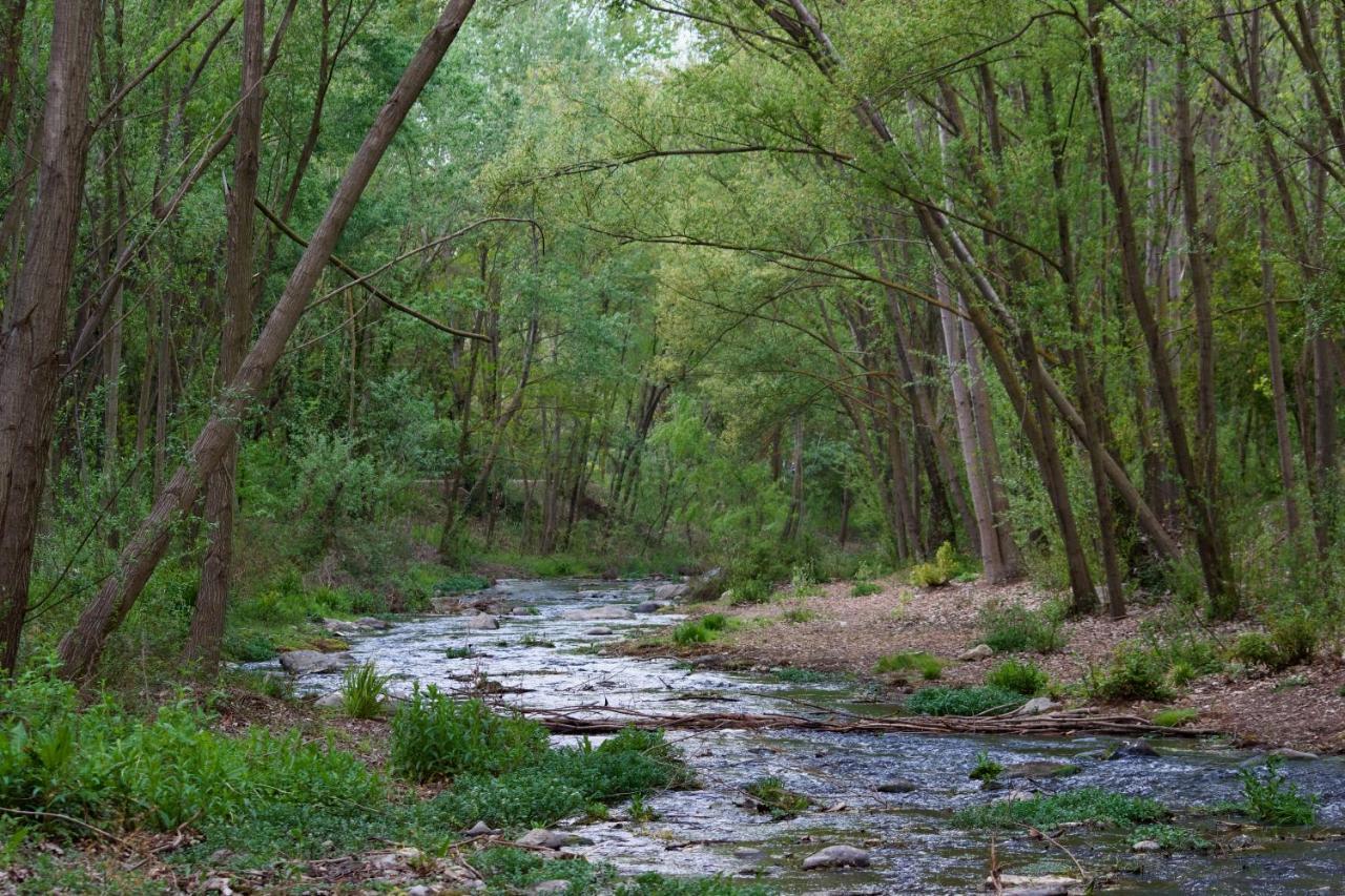 El Refugio Pinos Genil