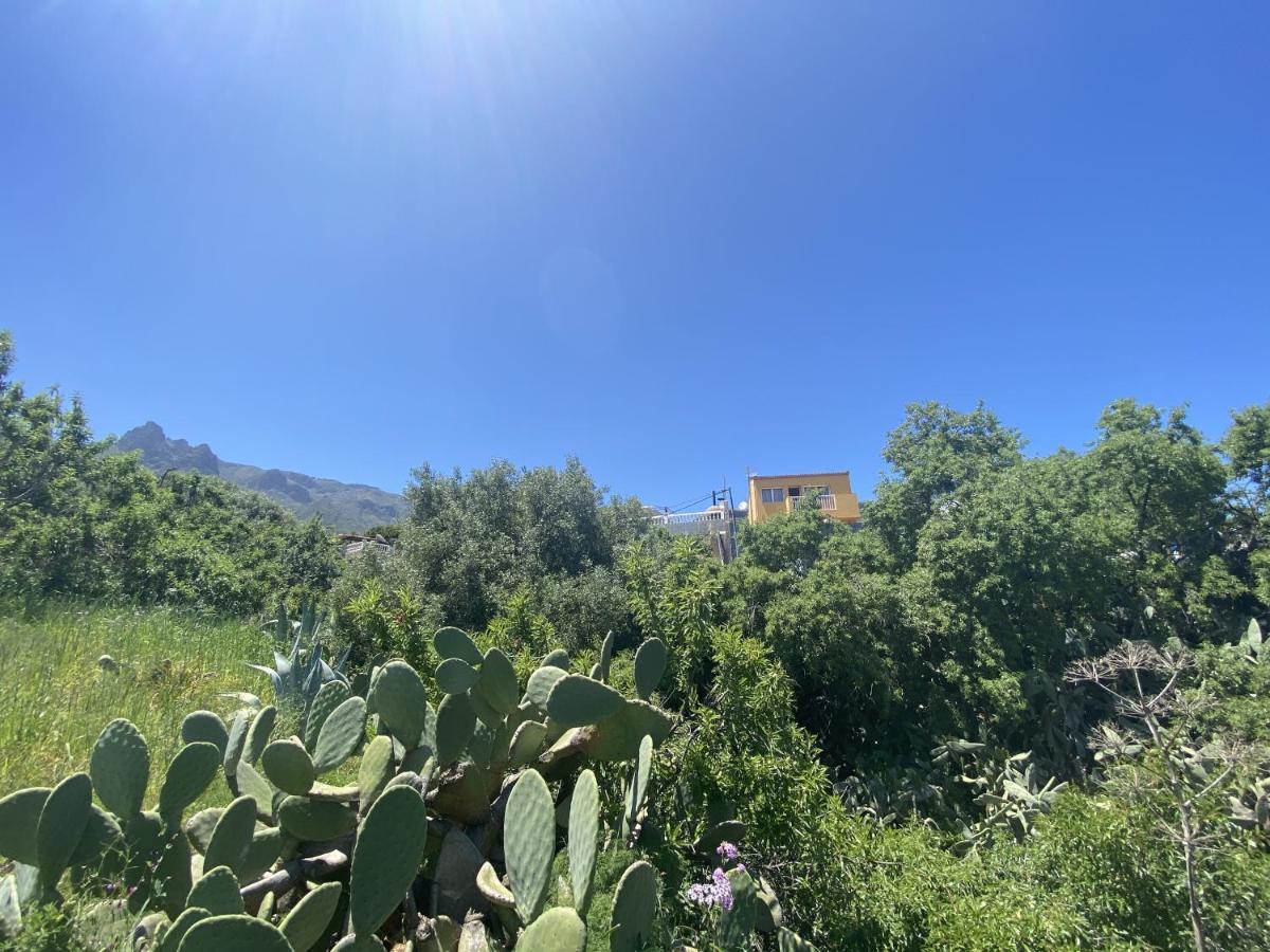 Villa La Maison De La Lune By Canariasgetaway El Rincon (Gran Canaria)