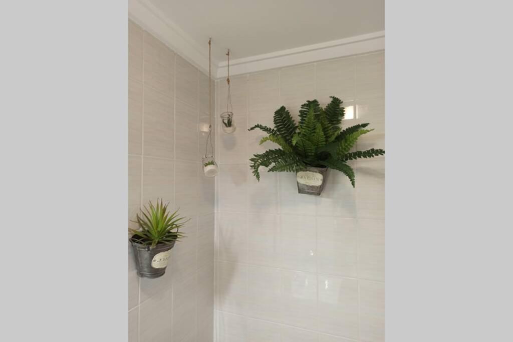 Apartment Centrico En Con Acceso A
