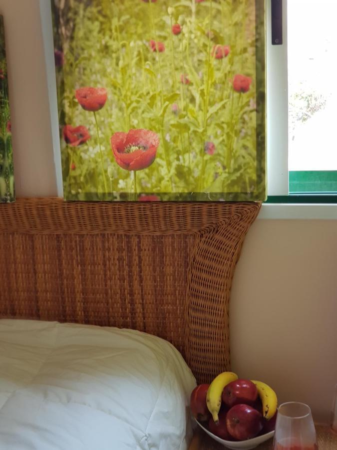 The Poppies 100m - Private Bathroom - Welcome Cava Pensión Candelaria