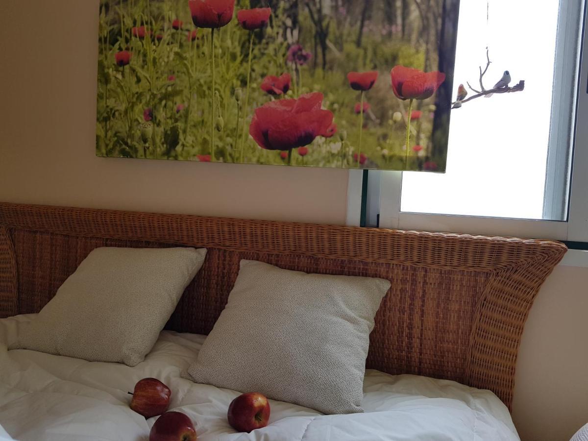 Pensión The Poppies 100m - Private Bathroom - Welcome Cava *