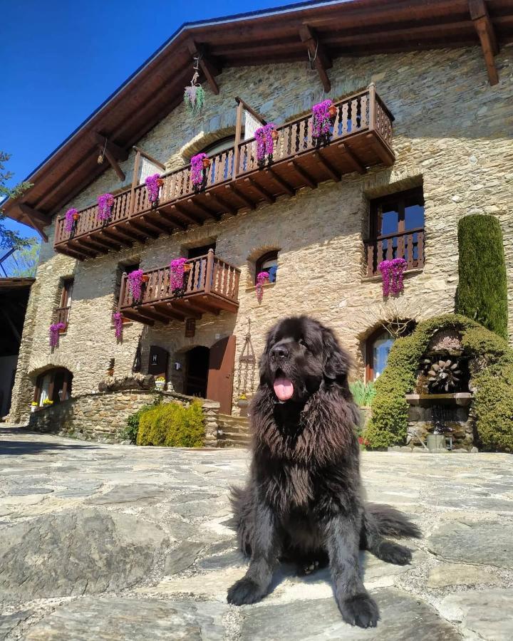 Mas D'en Roqueta Hotel 3*