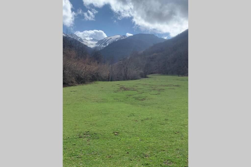 Casa Montana De Y Picos De Europa I Riano (Leon)