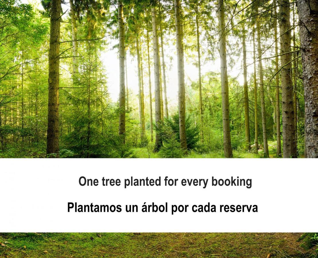 Fidalsa Pacific * Guardamar del Segura