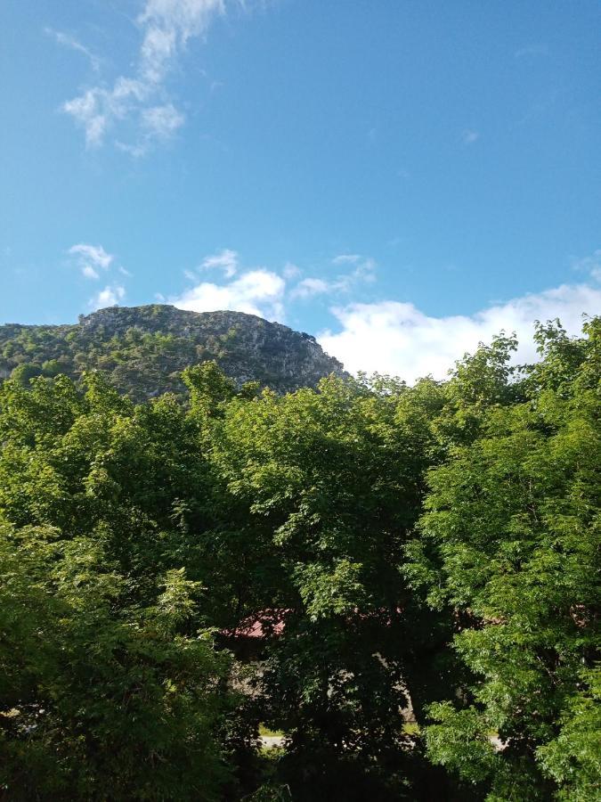 Rural Cabrales Hotel Carreña