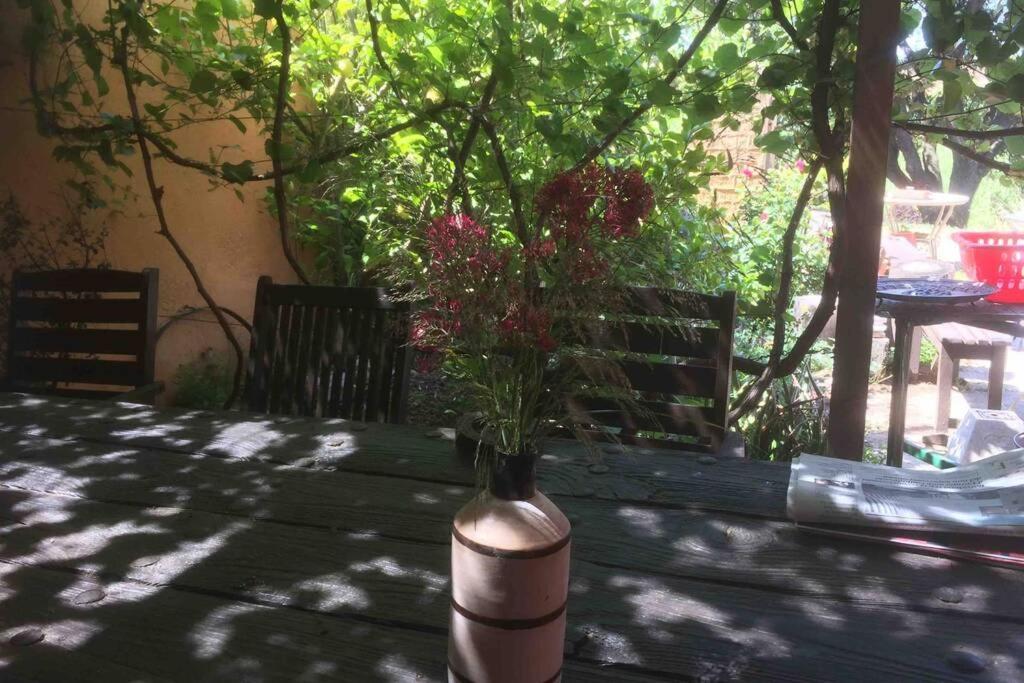 Casa Entre Vinyes