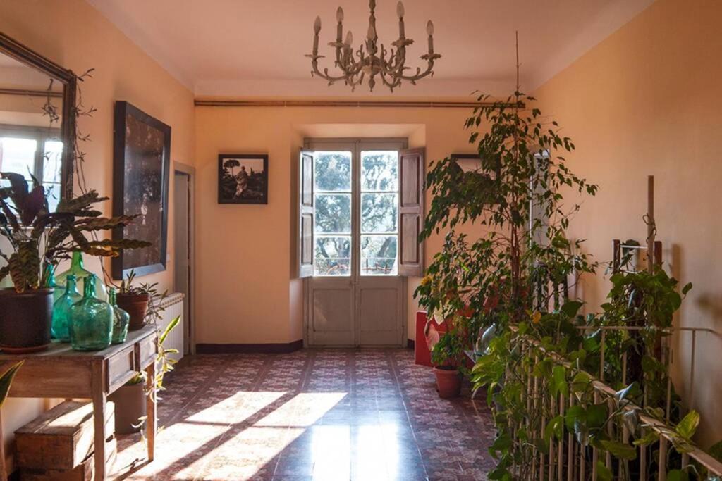 Casa Entre Vinyes Holiday home *