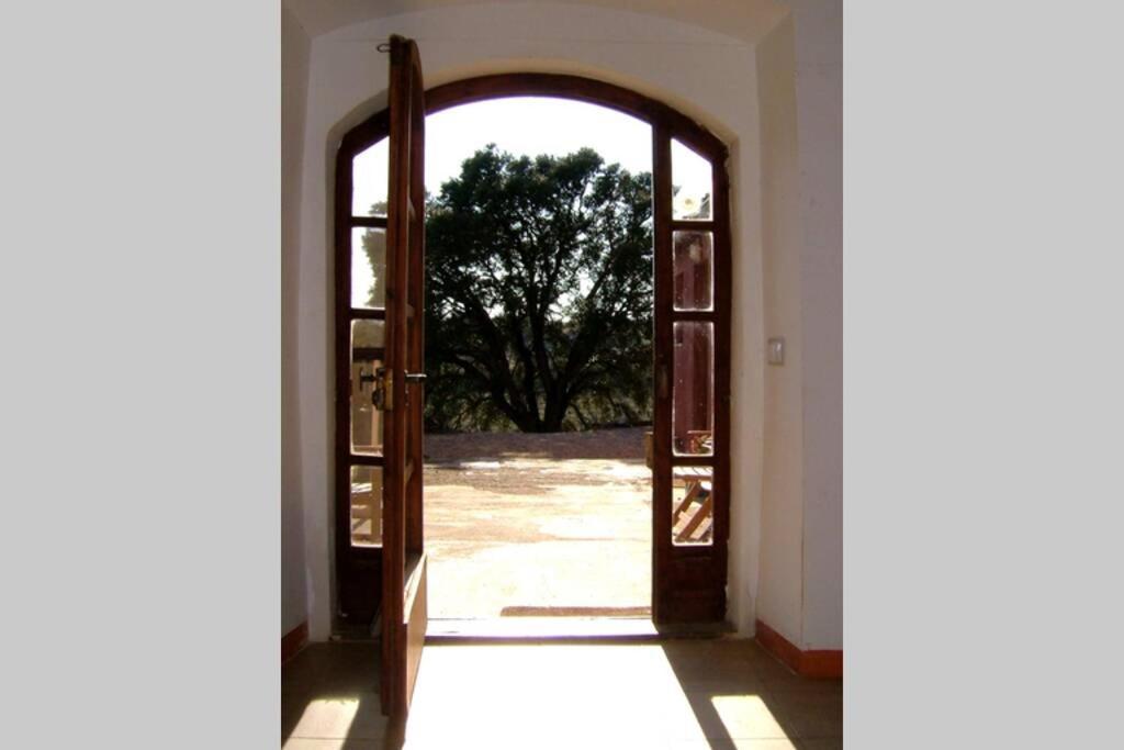 Casa Entre Vinyes Holiday home *