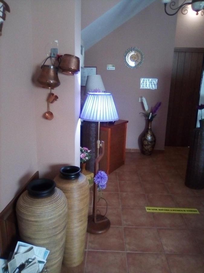 Sol De La Vega