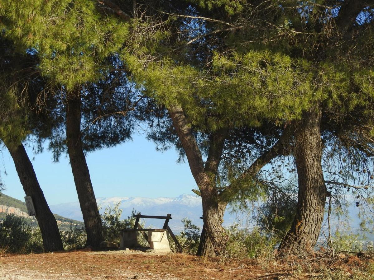 Cortijo La Fe