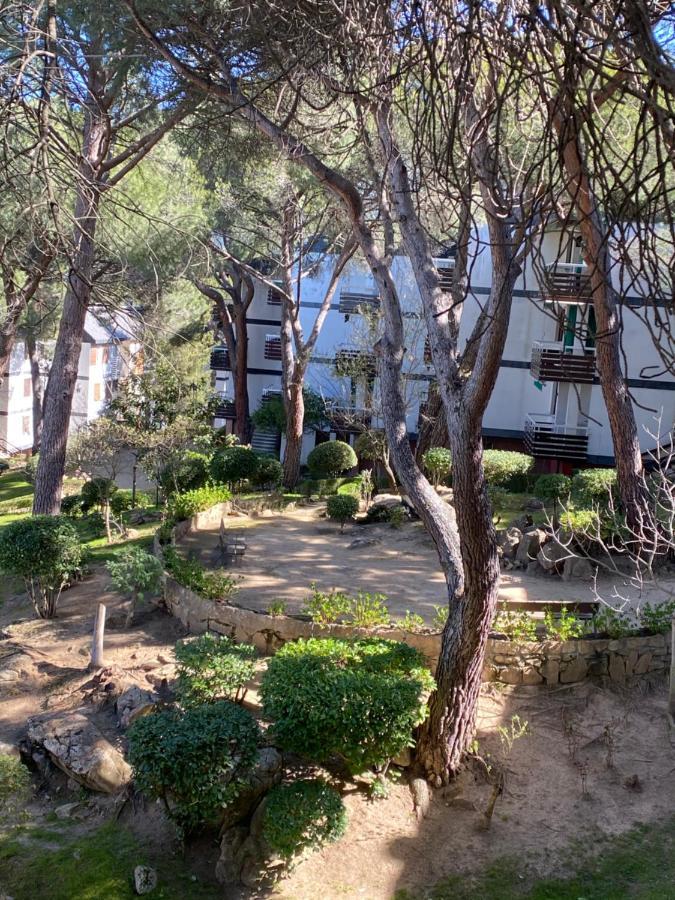 Romantico Con Chimenea Con Fibra Optica Y Terraza Apartment San Martin de Valdeiglesias
