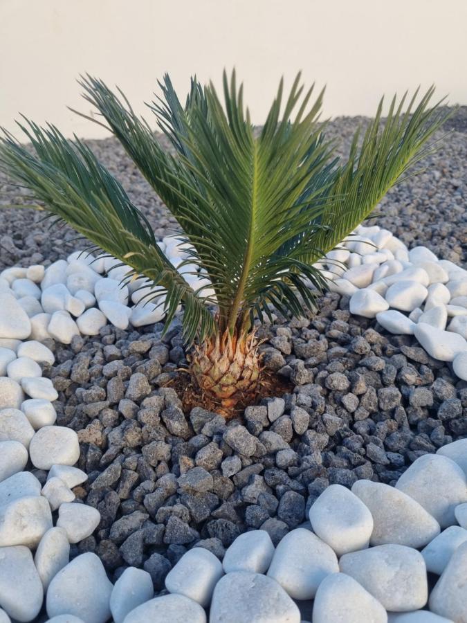 Luxury Lanzarote * Playa Blanca (Lanzarote)