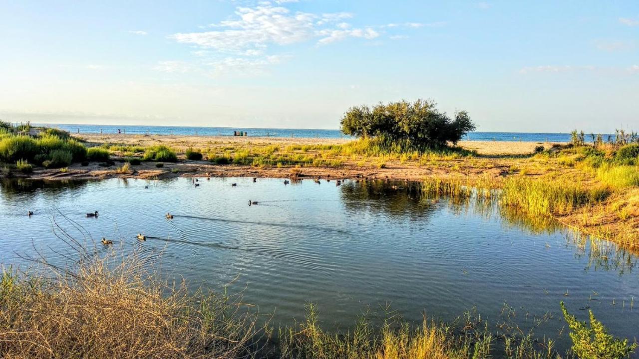 Apartamento En A 100m De La Playa