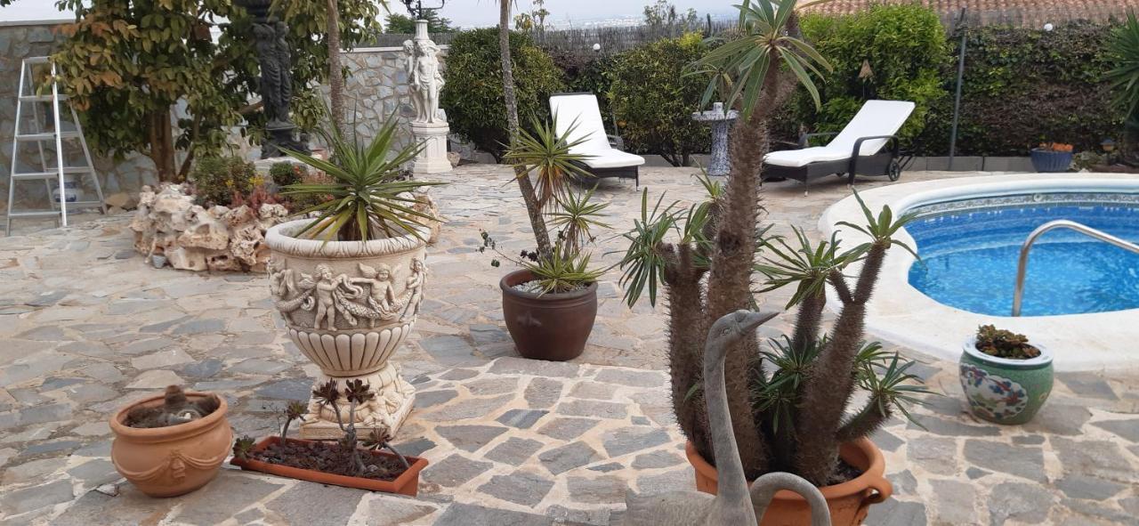 Apartment Estrella