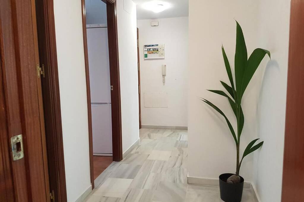 Apartamento In Sanlucar
