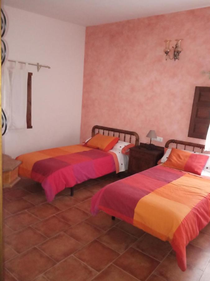 Masico Santana Apartment Todolella