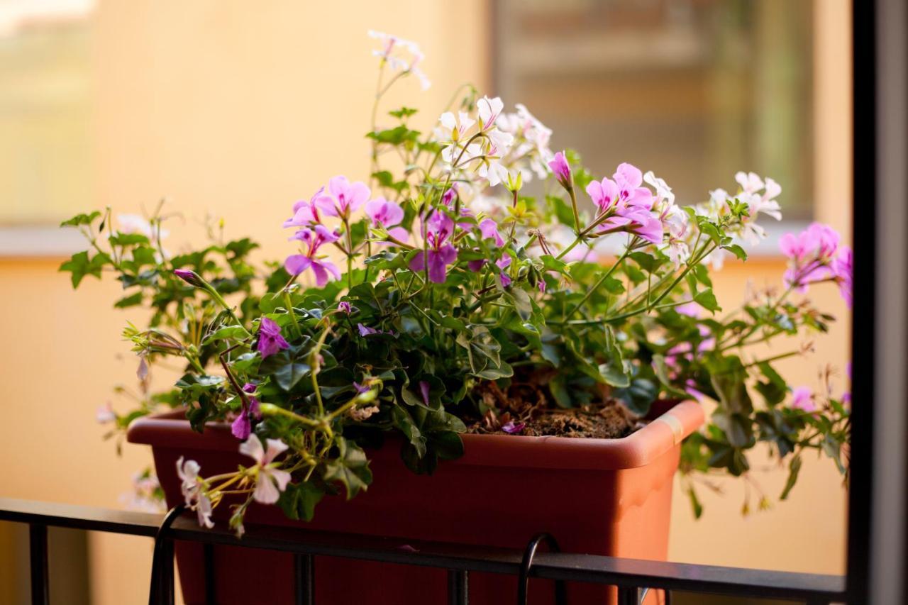 Apartamentos Caballerizas Granada Con Parking Gratuito En Pleno Centro Granada