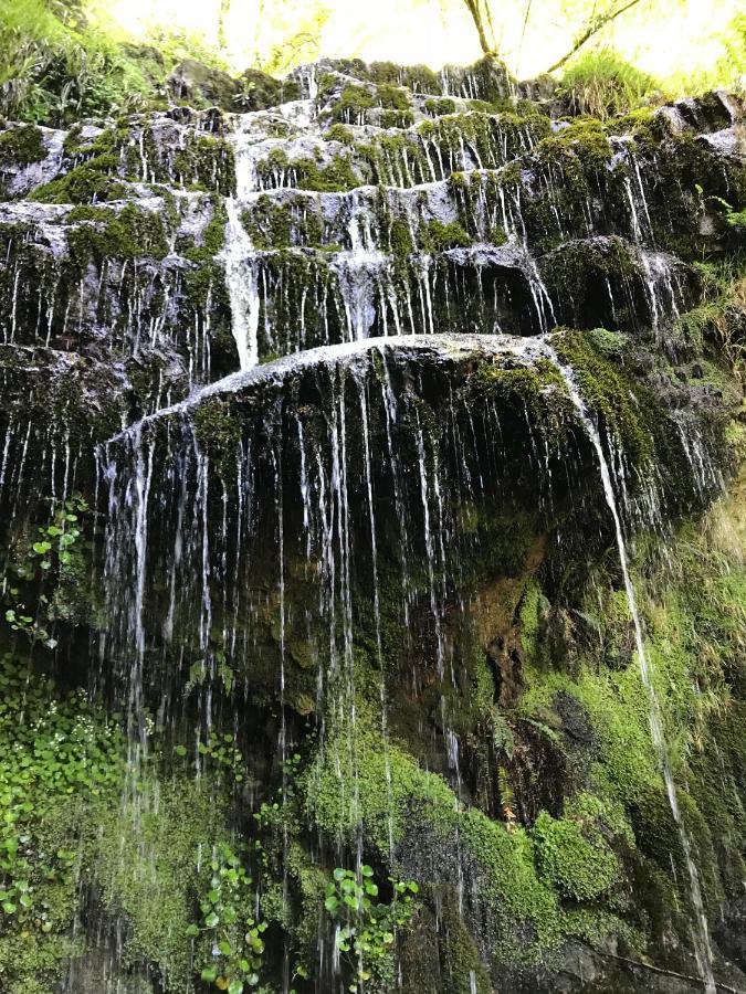 Cuatro Aguas * Ucieda