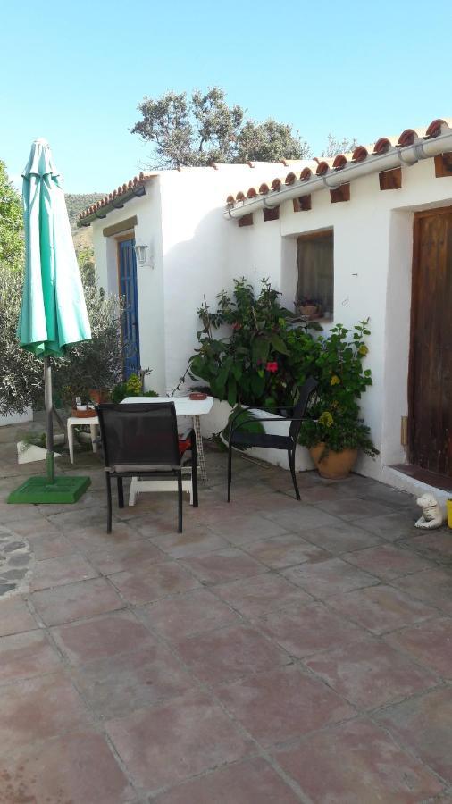 Casa Patricia Apartment Malaga