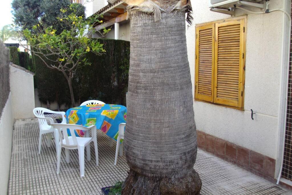 La Casa De La Palmera Apartment Torrevieja