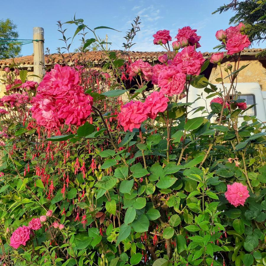 Holiday home Casa Llorente