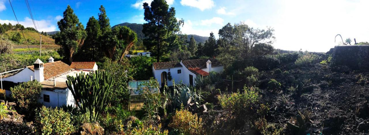 El Oasis *