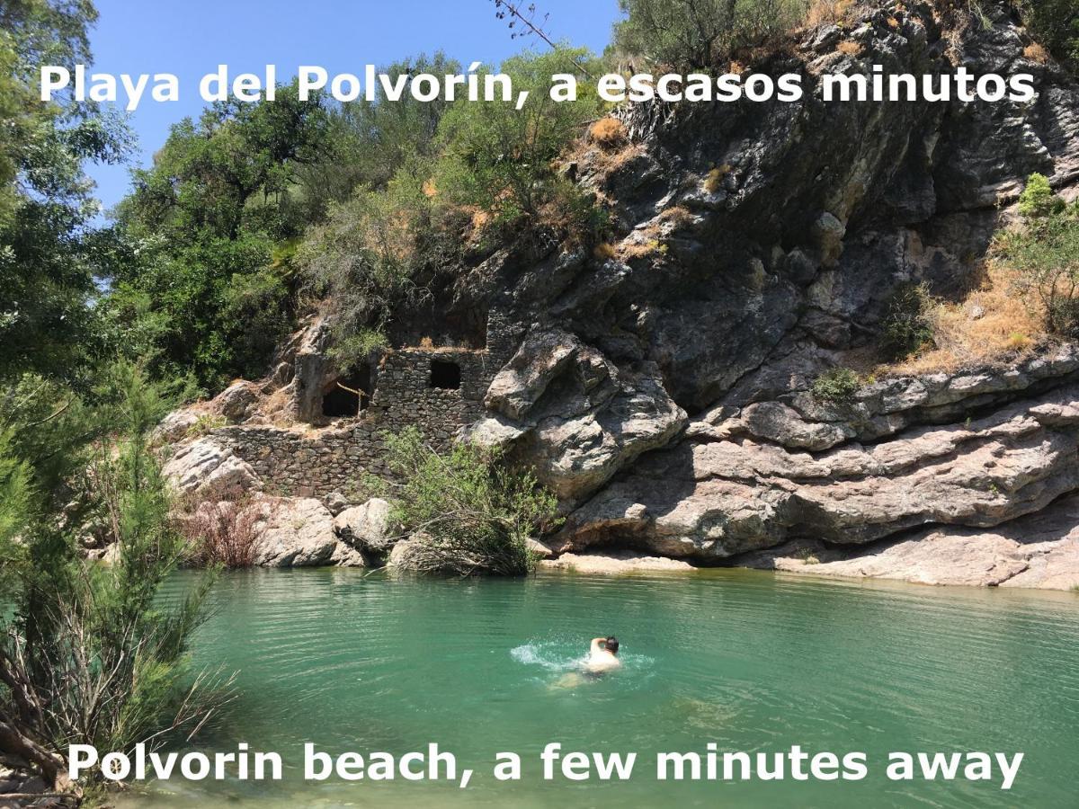 Eco Moyano Gaucín