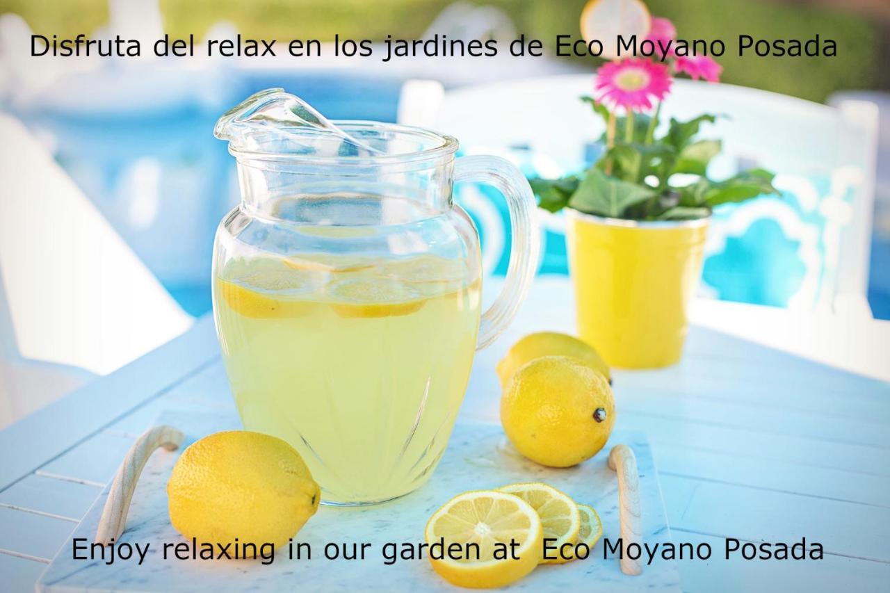 Lodge Eco Moyano Gaucín