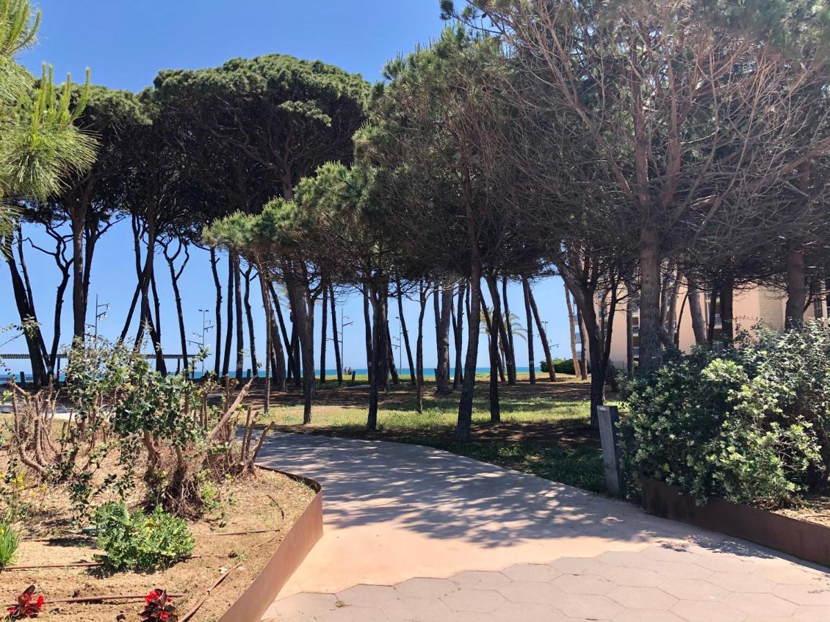 Apartment Pineda 1a Linea De Mar & Parking *