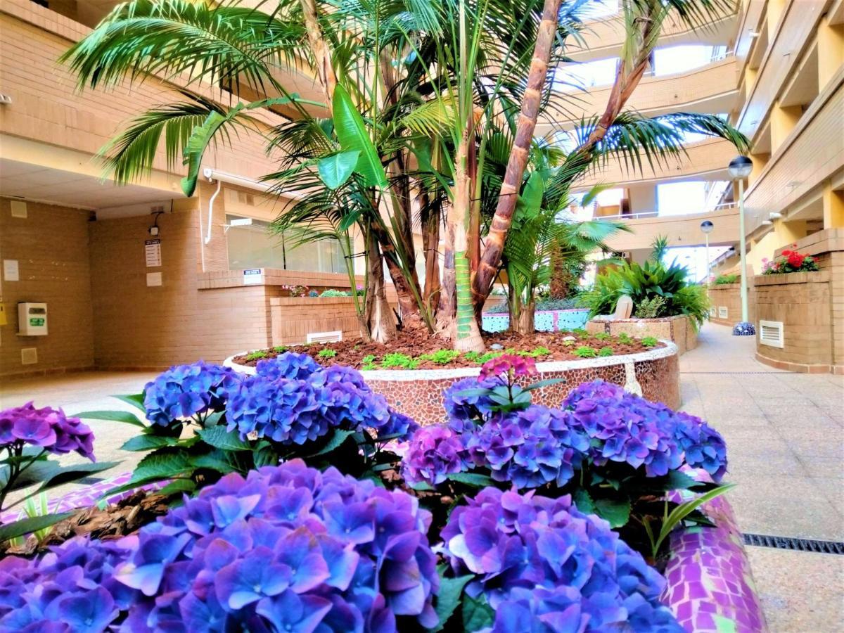 Apartamento Acv - Costa Caribe Ii - 2 Linea Planta Baja Sur Oropesa del Mar