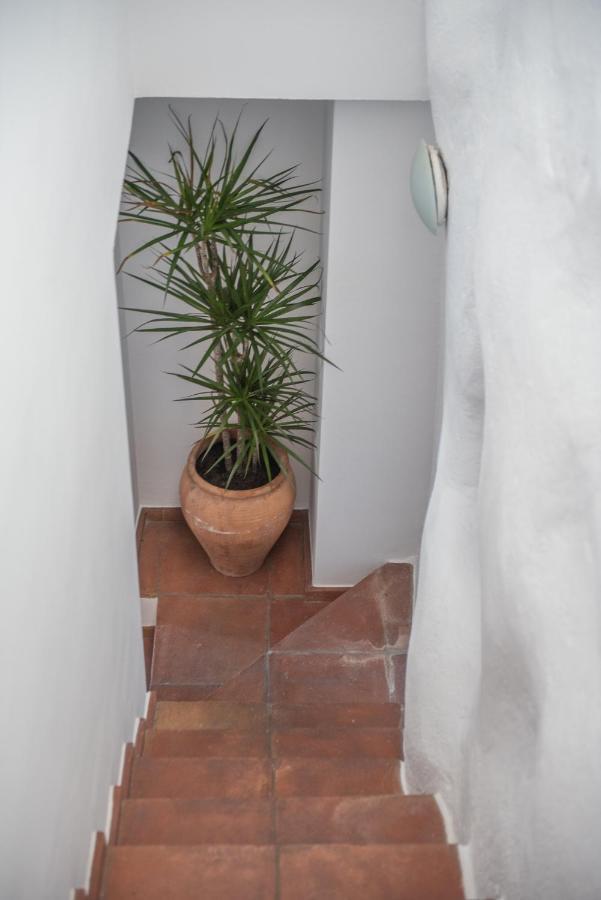 Apartment Apartamento La Plaza By La Juderia De Vejer *