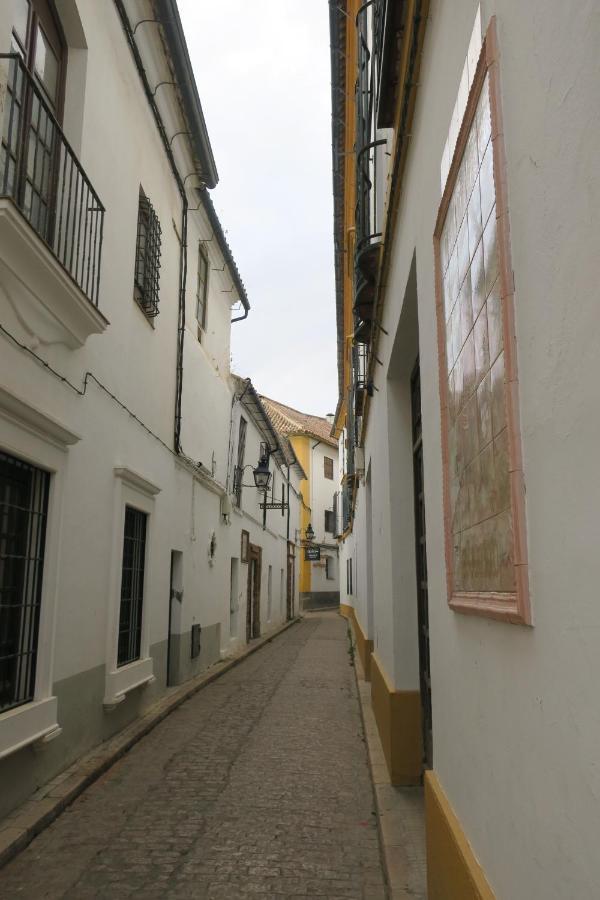 Apartment Calle De La Convalecencia *