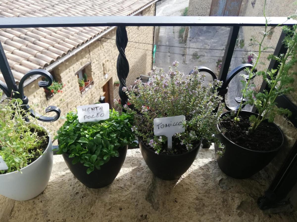 Holiday home Pilarrana
