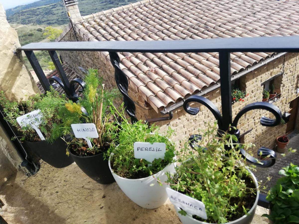 Holiday home Pilarrana *