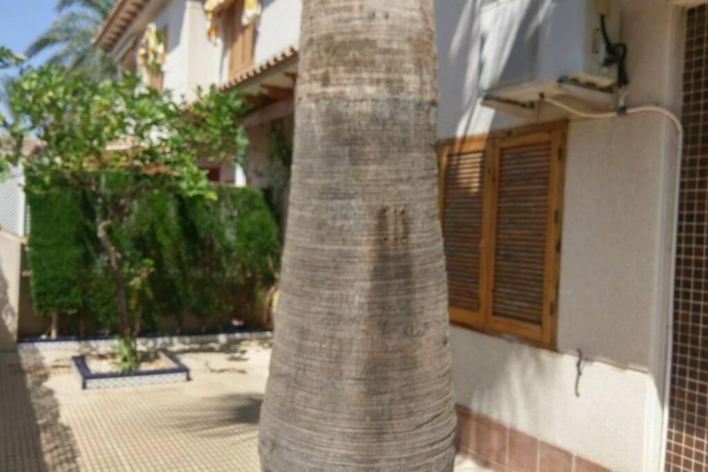 La Casa De La Palmera
