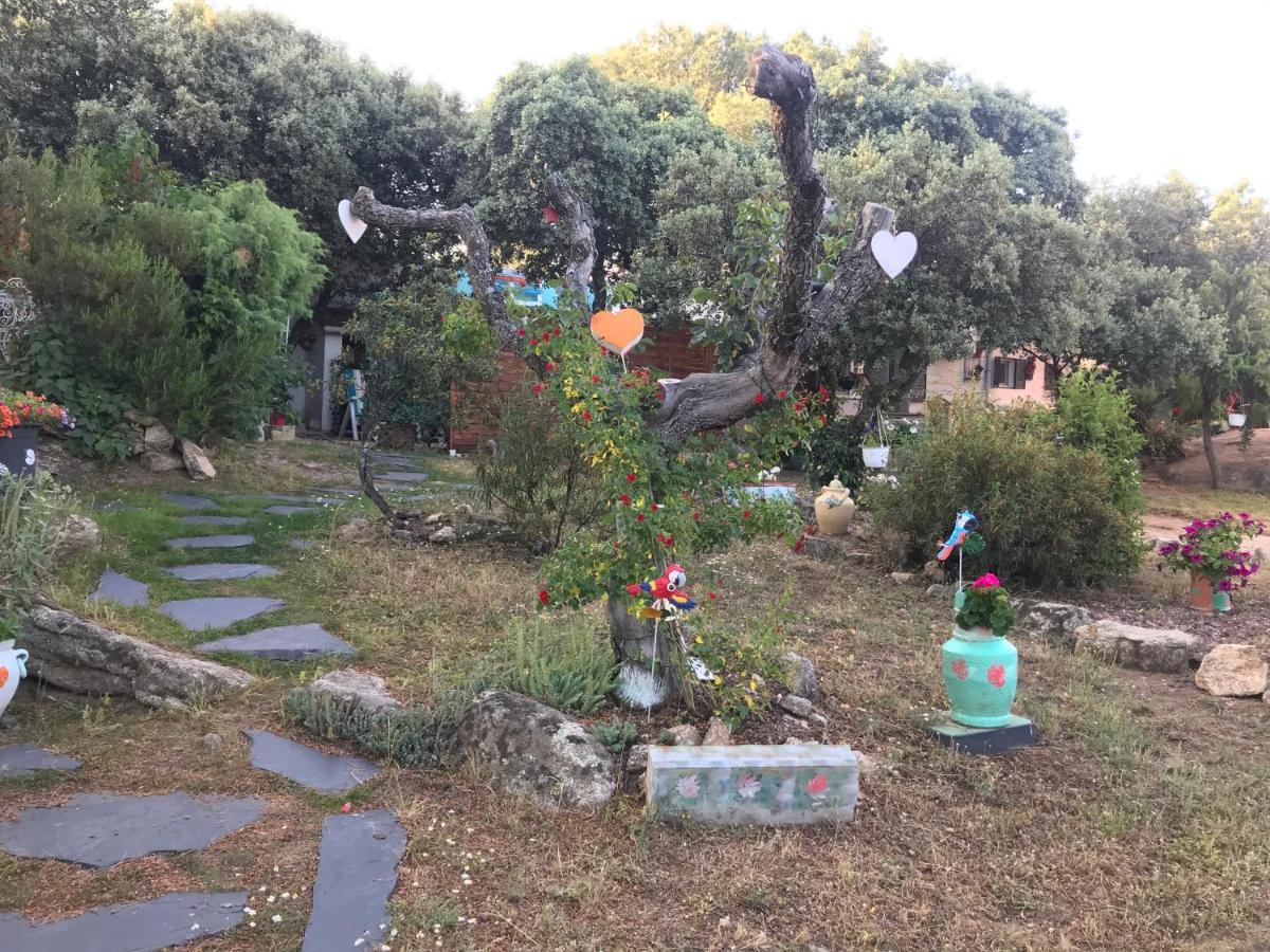 En La Naturaleza 2
