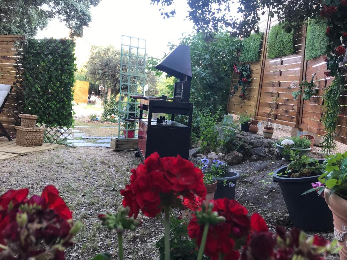 Сasa de vacaciones En La Naturaleza 2 *