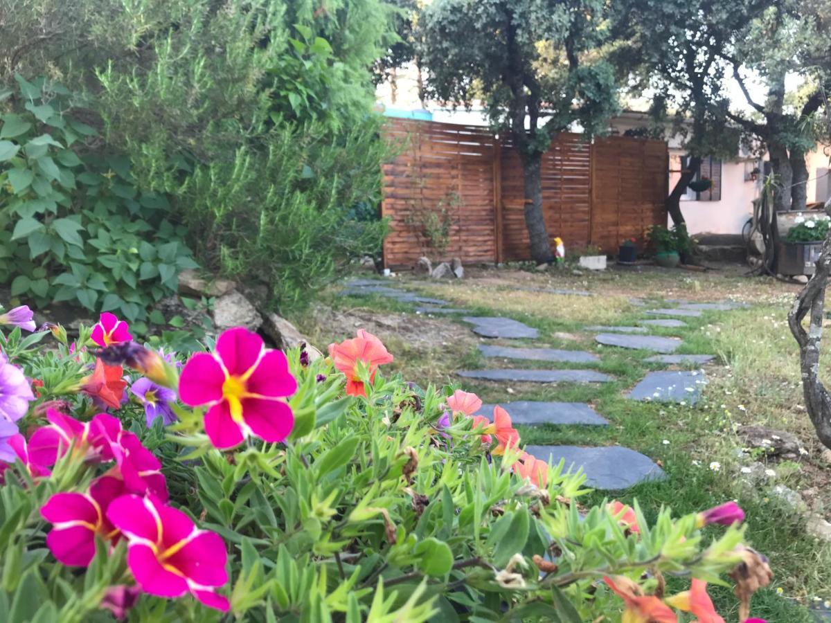 En La Naturaleza 2 *