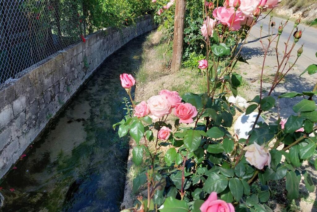 Holiday home La Huerta Del Castillo Con Su Caz De Agua - Enjoy Life & Relax *