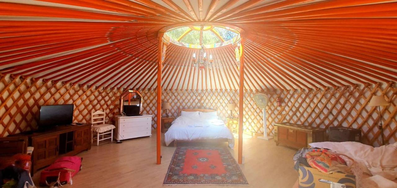 Eldorado Yurt Campo de lujo Algarrobo