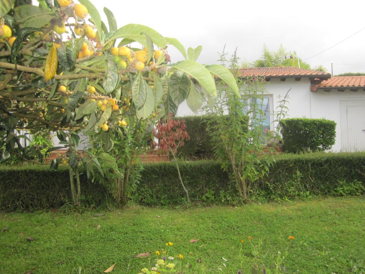 Infincavacations Chalet Y